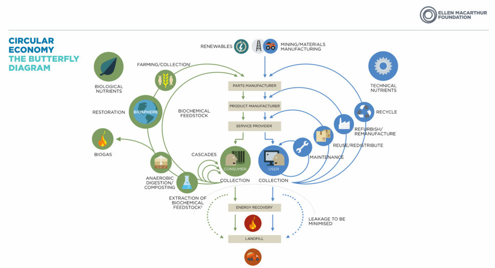 butterlfy_diagram_CE_EMA